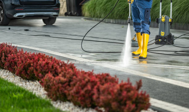 Best Roof Power Washing Services  in Pittsboro, NC