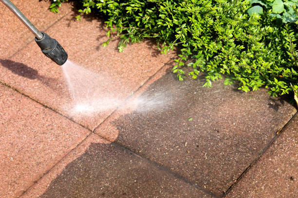 Best Best Pressure Washing Companies  in Pittsboro, NC